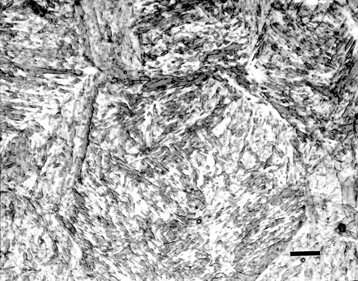 carolina martensite ca8522