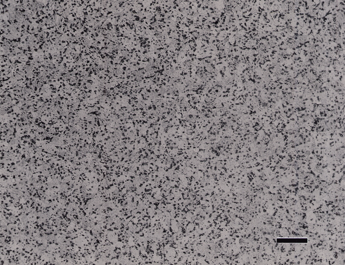 Metallographic Preparation Of Titanium And Its Alloys