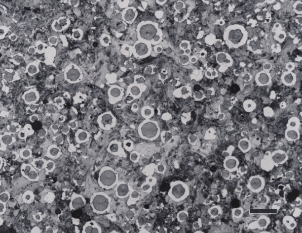 Metallographic Procedures For Cast Irons 2816