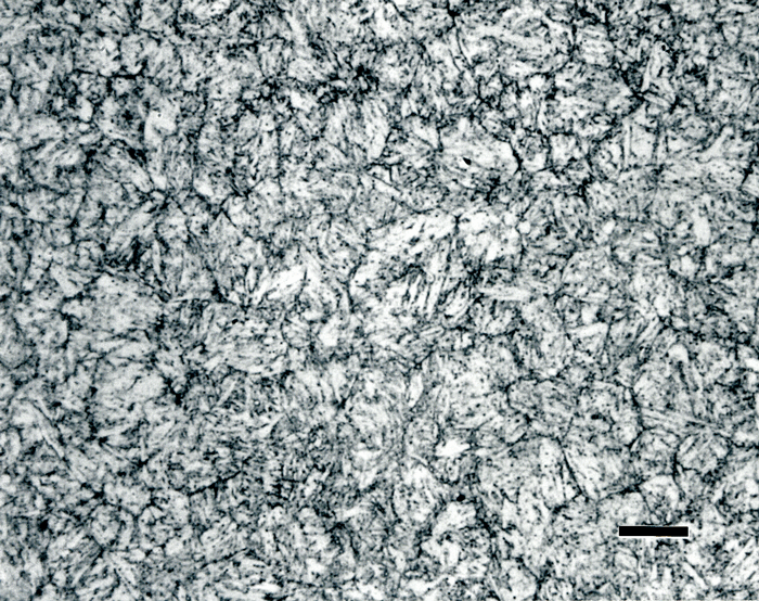 Revealing the Microstructure of Tool Steels