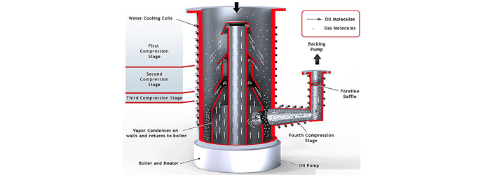 Fig 5 sm