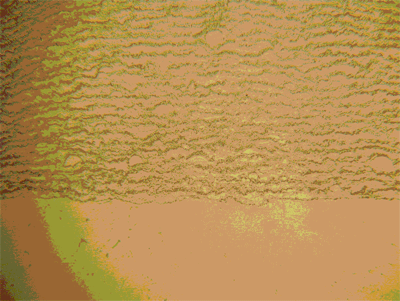 fig4_micrograph_2.gif