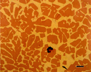 aual2-intermet_1