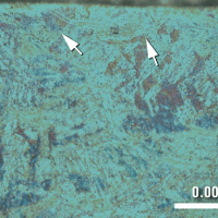 Microstructure of Nitrided Steels