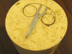Figure 3. Cross-section of an overlapped sheet assembly, mounted for polishing and metallurgical examination under a microscope..