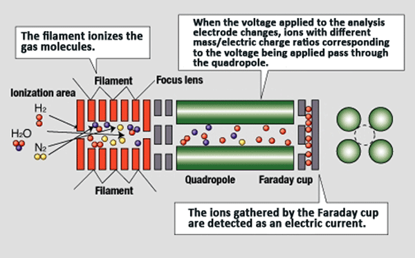 Figure 42 - Cross Section of an RGA