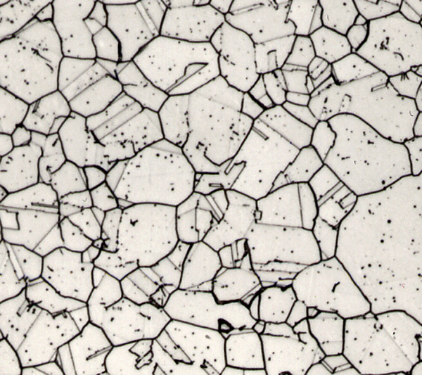 Fig. 4. 304 Stainless Steel Exhibiting Chromium Carbides at the Grain Boundaries (Photograph Courtesy of George Vander Voort Consulting)