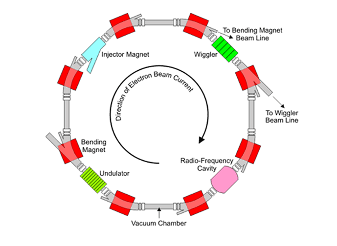 Figure 7 | A synchrotron carries the particles in a circular path. The 'wiggler' and 'undulator' are locations where the particles are injected7