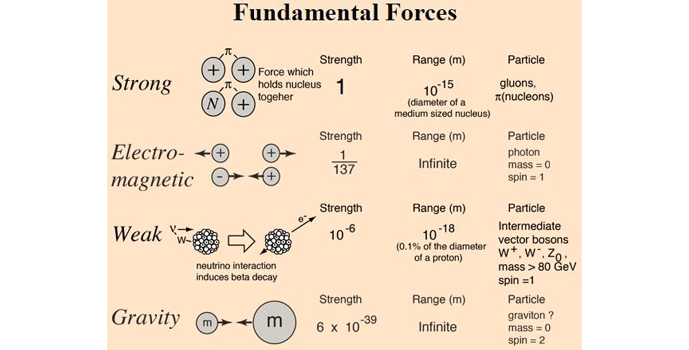 Figure 1 | The four fundamental forces3
