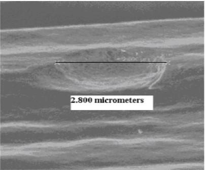 Figure 10 | Pitting of carbon fiber surface after exposure to 600°C in air for two hours11