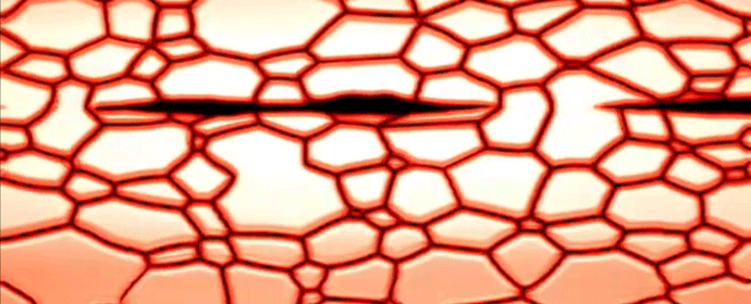 Figure 15 [23] - The Mechanism of Diffusion Bonding - (a) Initial 'point' contact, showing residual oxide contaminant layer