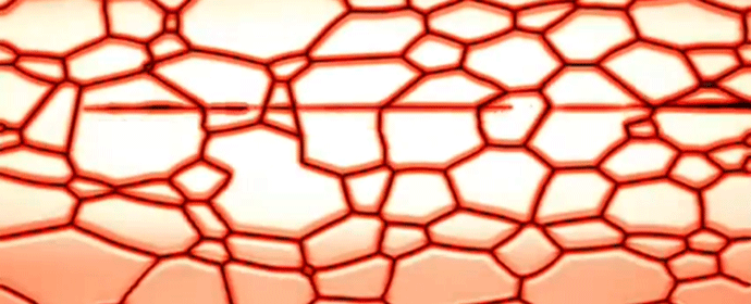 Figure 15 [23] - The Mechanism of Diffusion Bonding