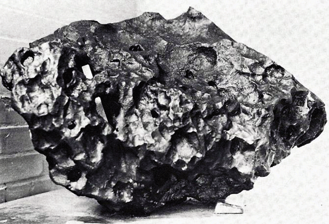 Figure 3: This 375 kg mass from the Canyon Diablo fall is at Yale University. The surface is well preserved and is typical of many recovered pieces. Photo courtesy of Dr. Vagn Buchwald [1].
