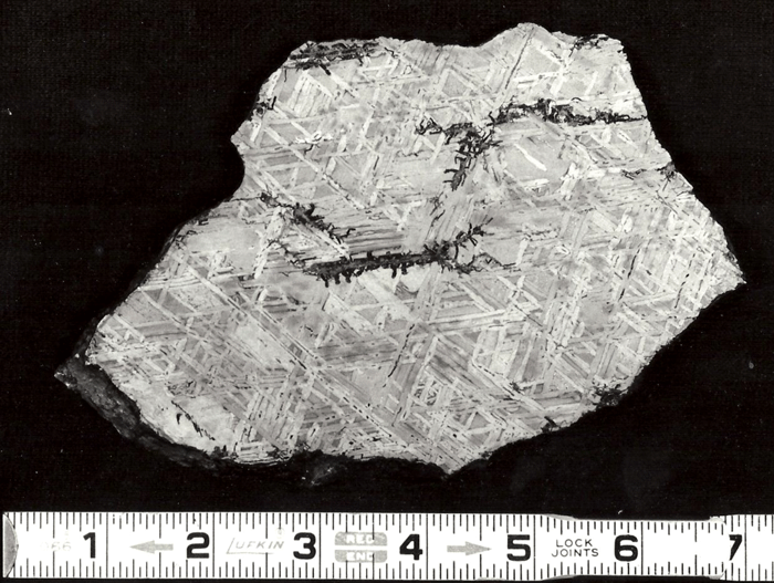 Figure 8: Macrostructure of Spearman (Texas), a medium octahedrite, showing a pattern of elongated kamacite grains and some terrestrial corrosion at cracks.