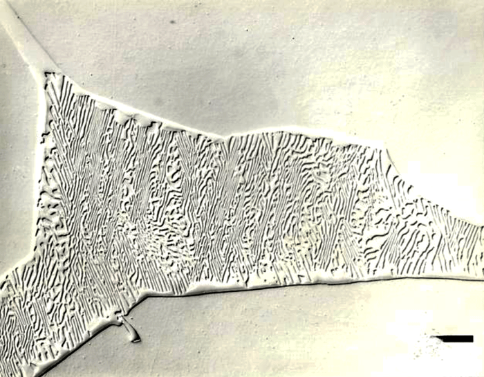 Figure 9:  A patch of plessite, a mixture of kamacite and taenite, surrounded by kamacite in Odessa, a coarse octahedrite that fell in Texas, viewed with DIC at 400X in the as-polished condition Magnification bar is 25 μm long).