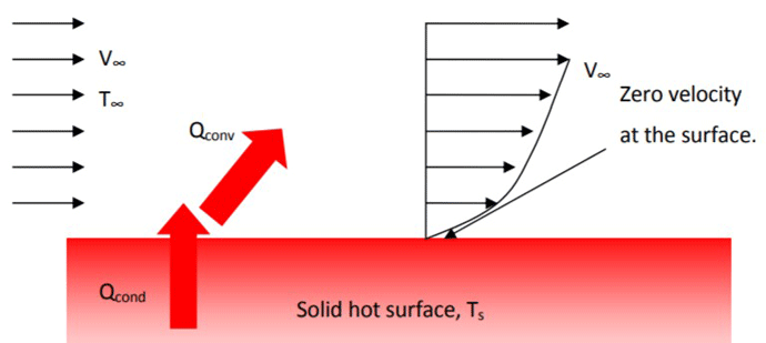 Figure 4 | Velocity profile of a fluid passing over a hot surface resulting in forced convection2