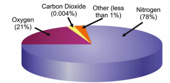 Figure 2 | The constituent breakdown of air2