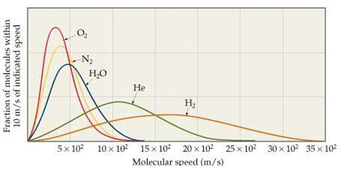 Figure 4 | Distribution of Molecular Speeds for Various Gases3